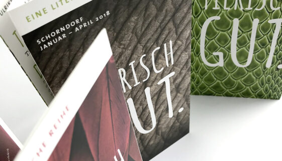 Veranstaltungsflyer Lesereihe